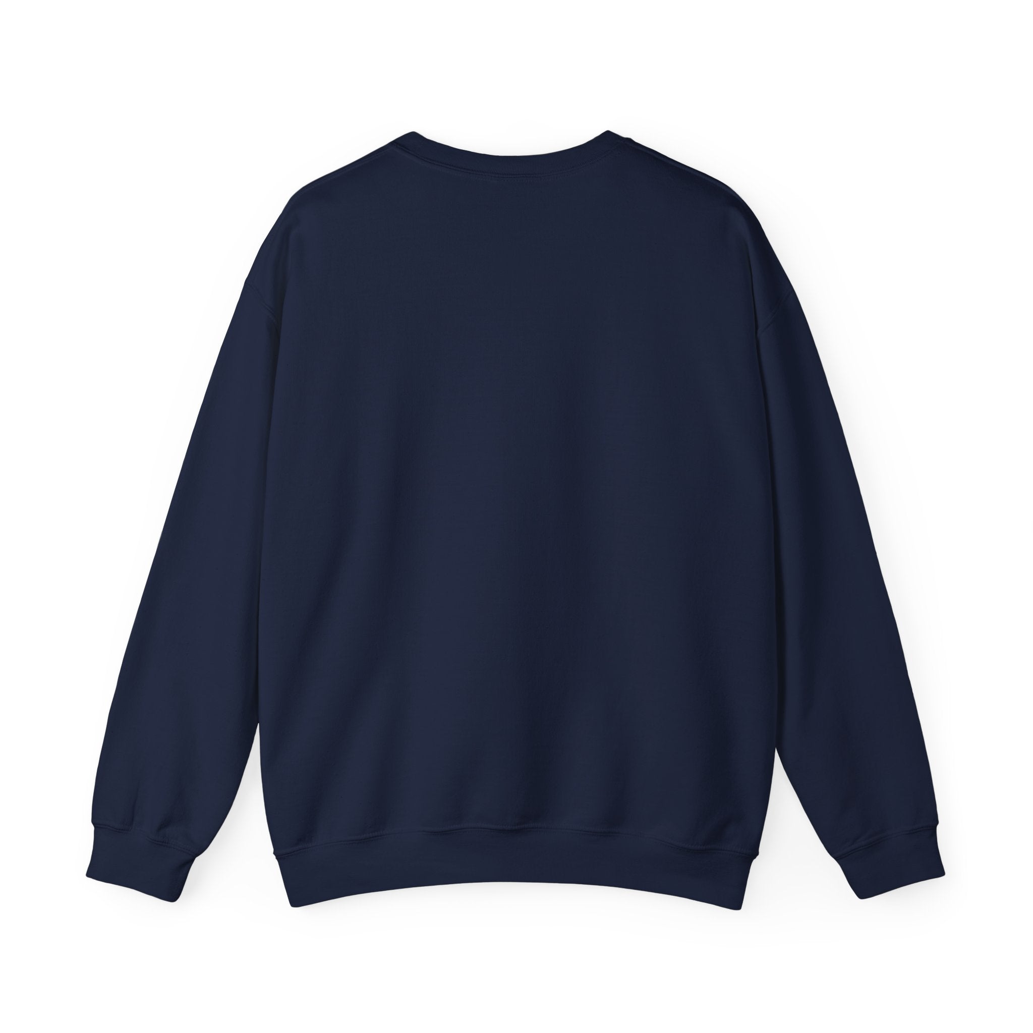 NO TO DSM Crewneck Sweatshirt – Stand With The Moana Pullover